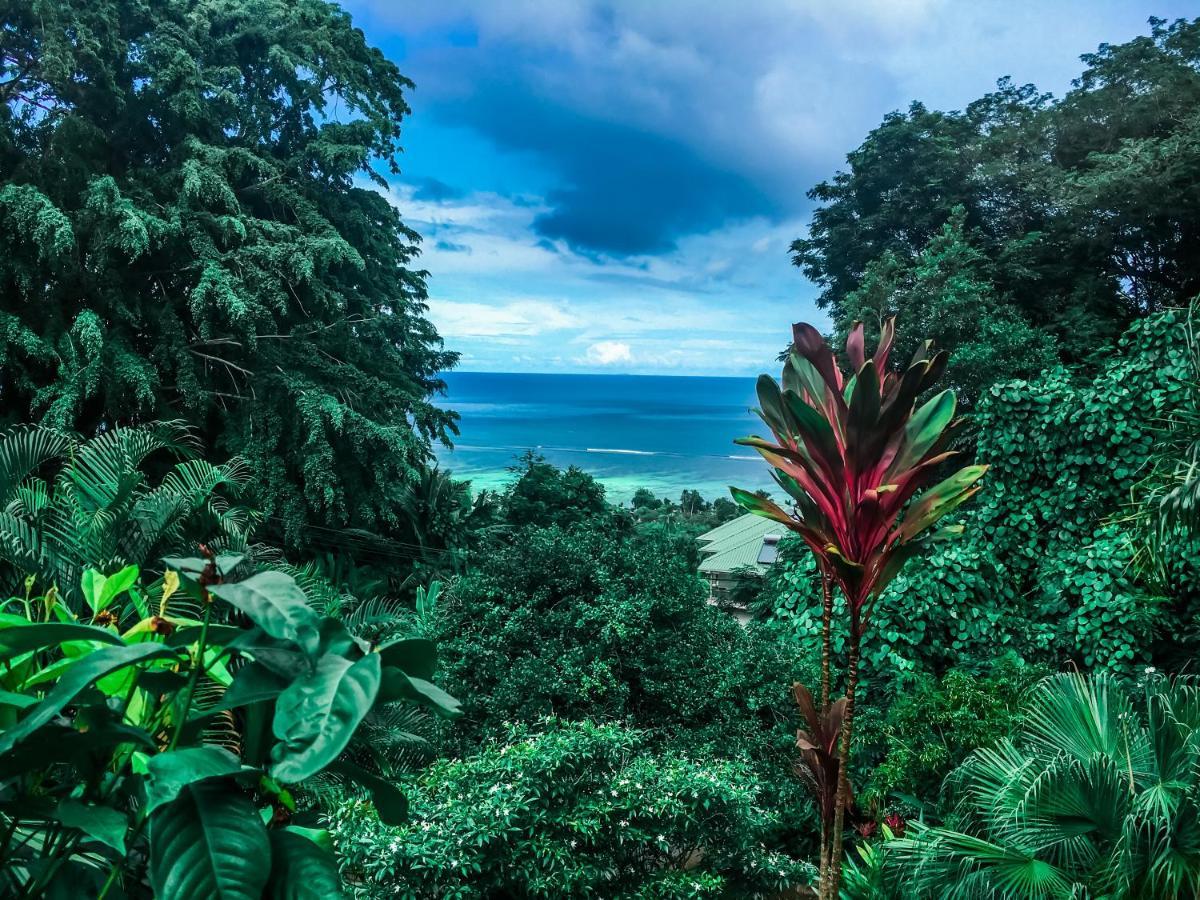 Ocean Vista Apartment Au Cap ภายนอก รูปภาพ